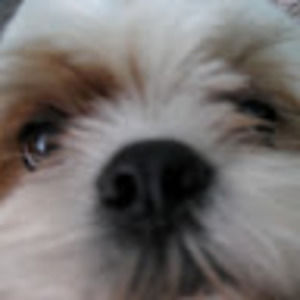 Meet your Posher, Linda